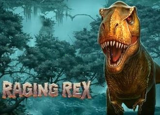 Спин Raging Rex
